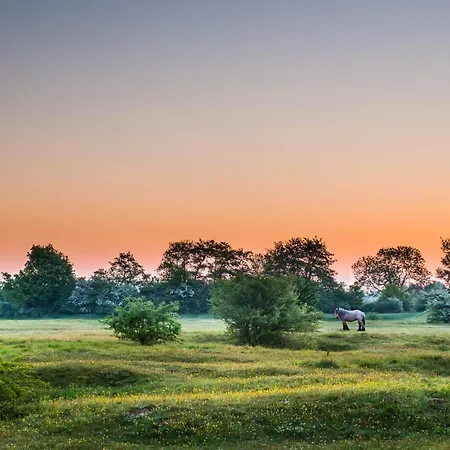 Der Valk - Nijmegen 4*