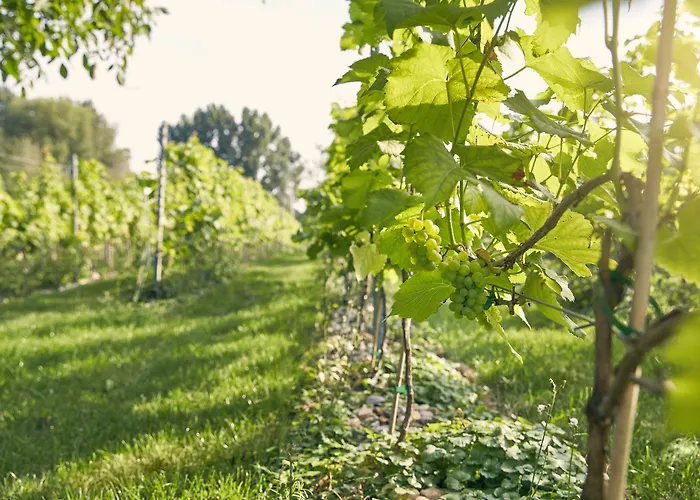 Hotel Der Valk - Nijmegen