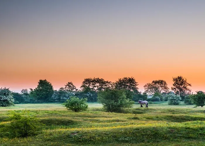 Der Valk - Nijmegen 4*